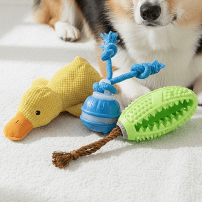 ActivePaws™ Daily Doggo Essentials Bundle