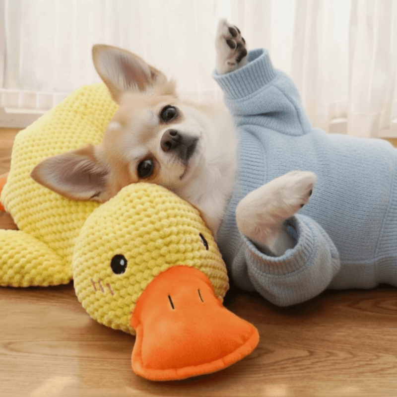 ActivePaws™ Dog Calming Plush Toy