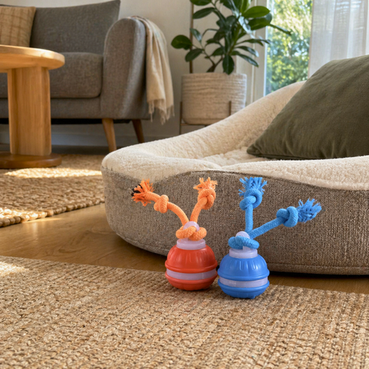 ActivePaws™ Automatic Dog Walker Interactive Toy