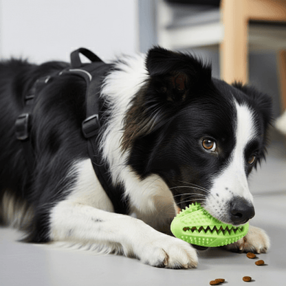 ActivePaws™ Energy Burner Bundle