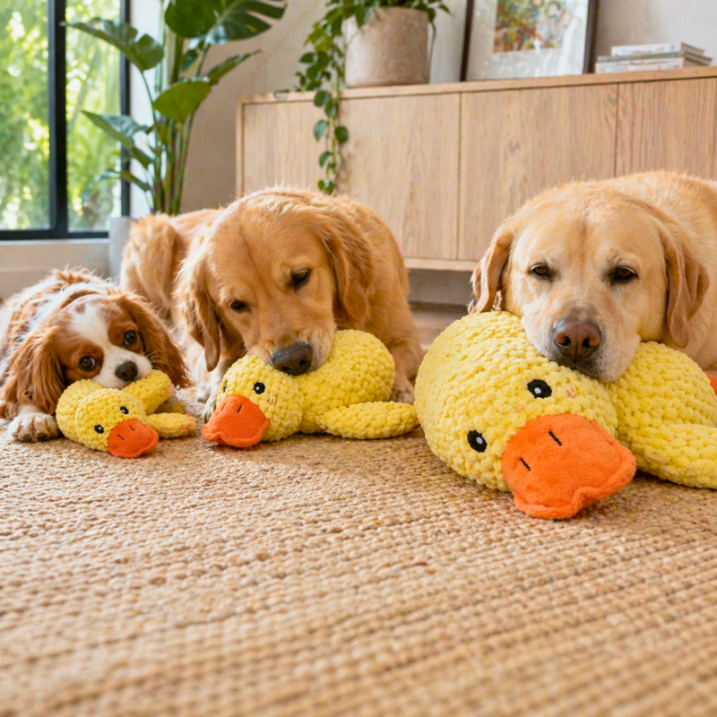 ActivePaws™ Dog Calming Plush Toy