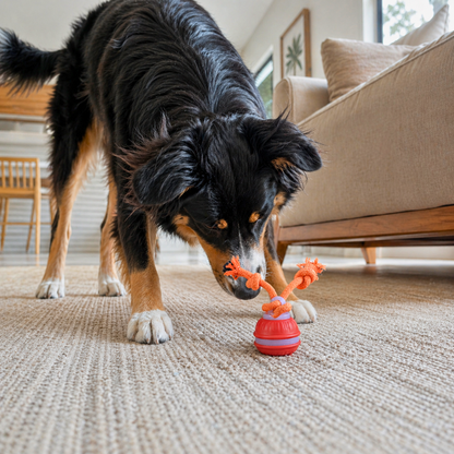 ActivePaws™ Automatic Dog Walker Interactive Toy