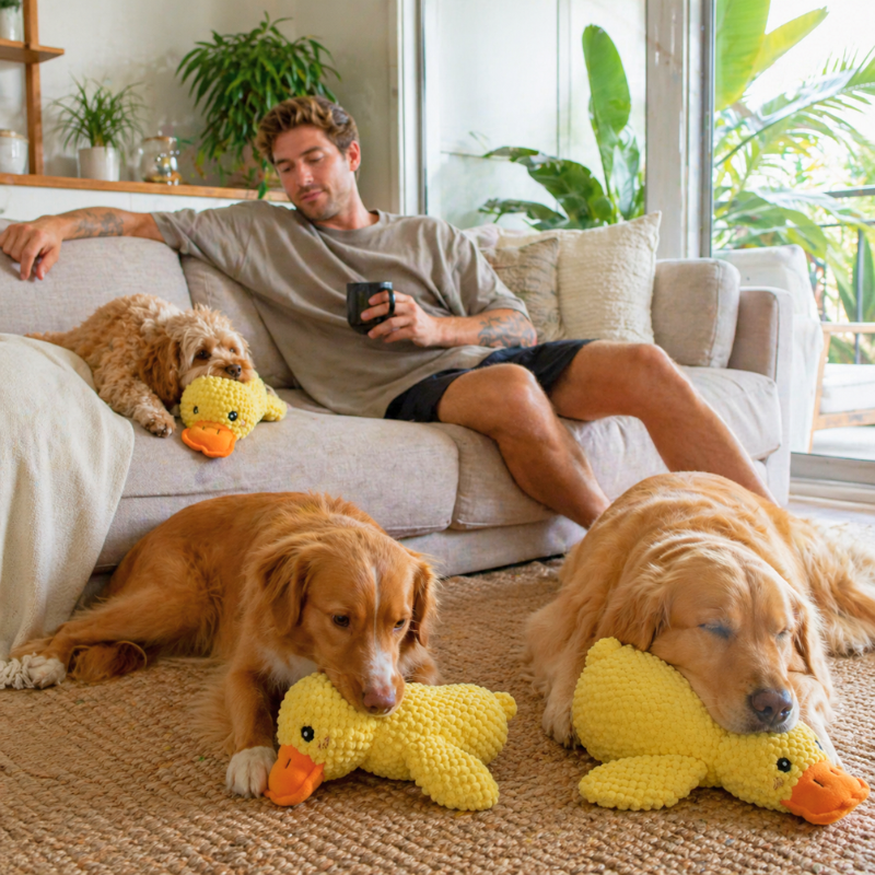 ActivePaws™ Dog Calming Plush Toy