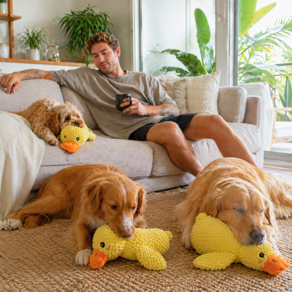 ActivePaws™ Dog Calming Plush Toy