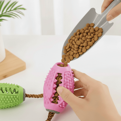 ActivePaws™ Daily Doggo Essentials Bundle