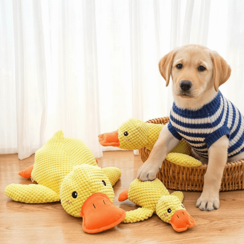 ActivePaws™ Dog Calming Plush Toy