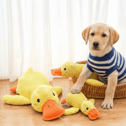 ActivePaws™ Dog Calming Plush Toy