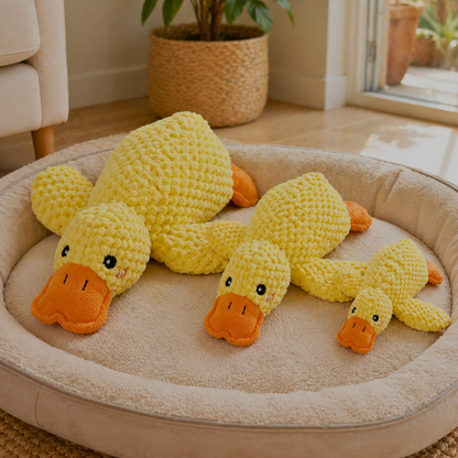 ActivePaws™ Calm & Comfort Bundle