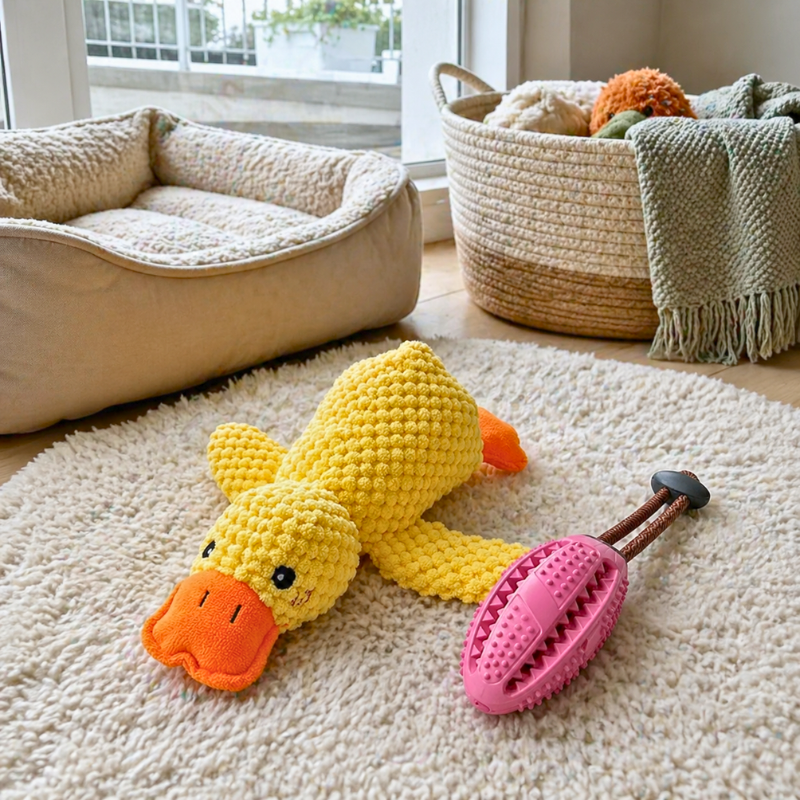 ActivePaws™ Calm & Comfort Bundle