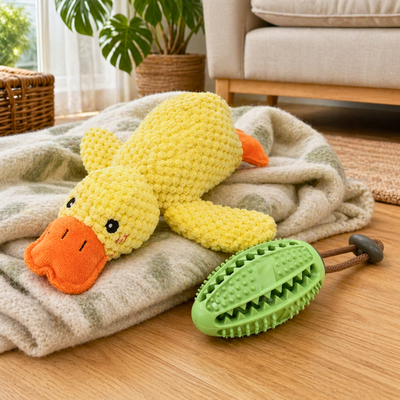 ActivePaws™ Calm & Comfort Bundle