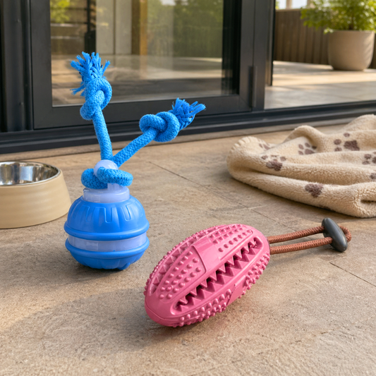 ActivePaws™ Energy Burner Bundle