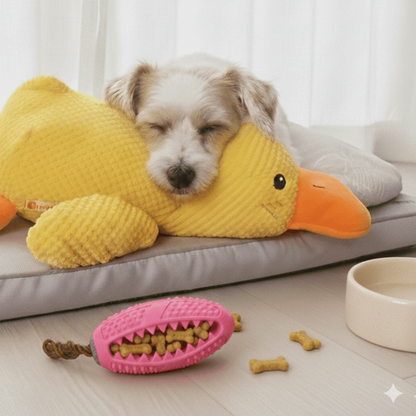 ActivePaws™ Calm & Comfort Bundle