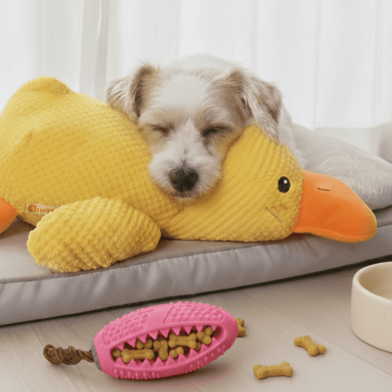 files/Product1_1_3c488450-2f8d-4f4c-826f-41e5400e1f8f.png